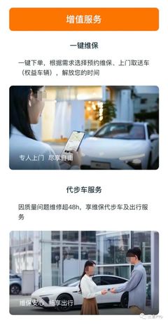 新能源车的“付费订阅”竞速 从功能解锁到服务生态，谁在买车？谁在用命踩坑？